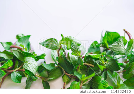 Peppermint leaves on white background 114232450