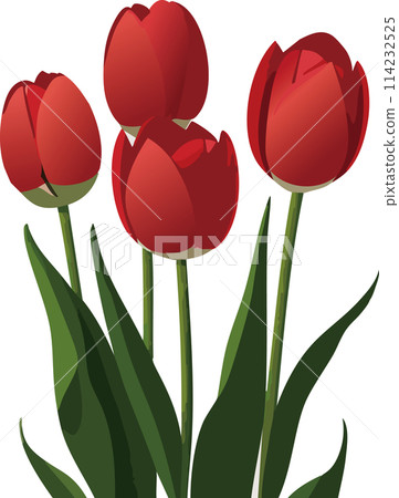 紅色鬱金香 紅色鬱金香 114232525