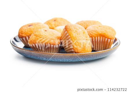 Magdalenas the typical spanish plain muffins on plate isolated on white background. Magdalenas the typical spanish plain muffins on plate isolated on white background. 114232722