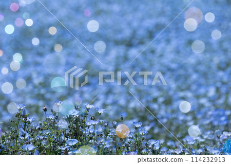 Bubbles floating in the blue sky 114232913