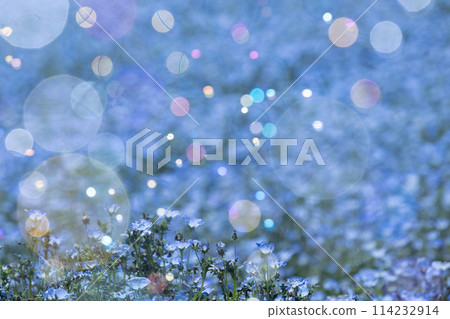 Bubbles floating in the blue sky Bubbles floating in the blue sky 114232914
