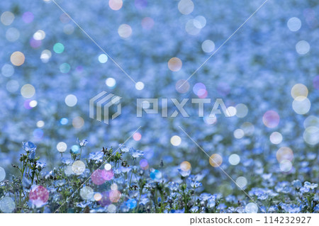 Bubbles floating in the blue sky 114232927