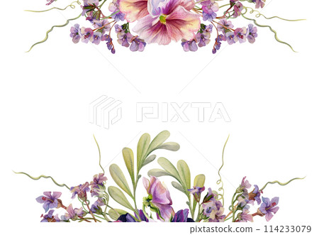 Hand drawn watercolor illustration botanical victorian flowers leaves. Mauve pansy viola, locust indigo branch, bergenia heliotrope lungwort, tendrils. Frame isolated on white. Design wedding, cards 114233079