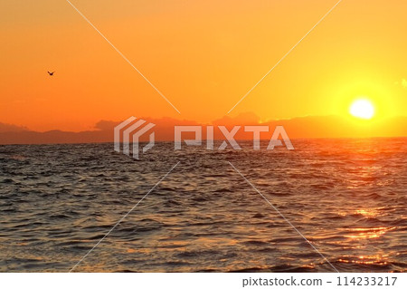 2023 年 10 月 26 日在逗子/葉山森戶海岸的日落 114233217