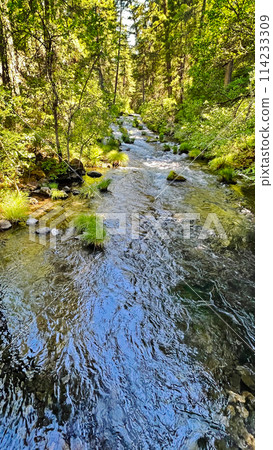 A clear sky reflects off the river, surrounded by plants and rocks. A clear sky reflects off the river, surrounded by plants and rocks. 114233309