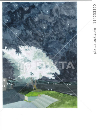 夜晚的櫻花水彩 114233390