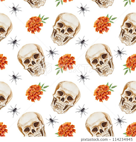 Human skull, marigolds, spider. Seamless pattern. Watercolor illustration isolated on white background. For cards, wrapping paper, textiles, covers. Human skull, marigolds, spider. Seamless pattern. Watercolor illustration isolated on white background. For cards, wrapping paper, textiles, covers. 114234945