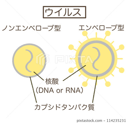 Virus structure diagram Virus illustration material 114235231