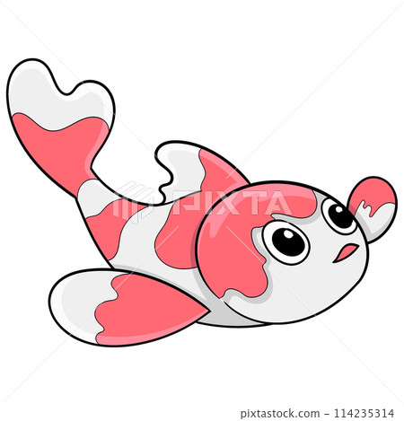 Red and white koi fish bring good luck Red and white koi fish bring good luck 114235314
