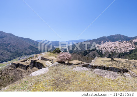 Takeda castle ruins in spring Takeda castle ruins in spring 114235588