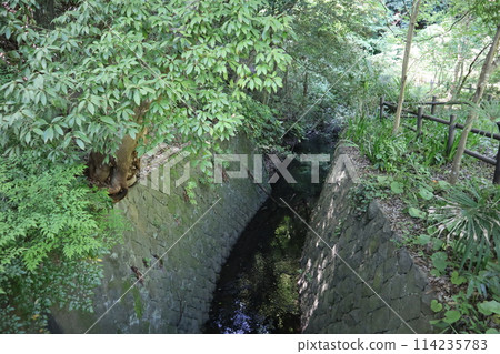 橫濱市內唯一的山谷公園－金下山谷公園 114235783