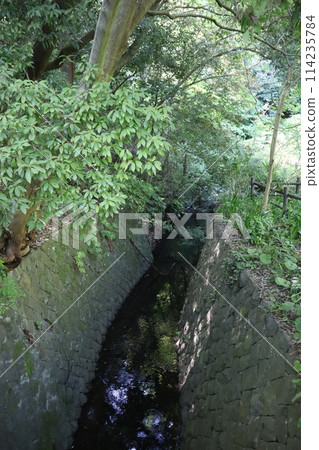 橫濱市內唯一的山谷公園－金下山谷公園 114235784