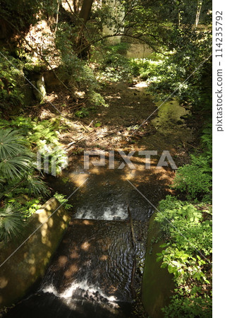 Jingashita Valley Park, the only valley park in Yokohama City 114235792