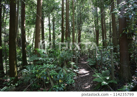 橫濱市內唯一的山谷公園-金下山谷公園 橫濱市內唯一的山谷公園-金下山谷公園 114235799