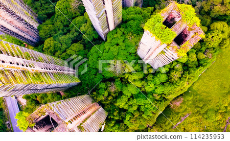 城市廢墟的鳥瞰圖，建築物覆蓋著植物 114235953