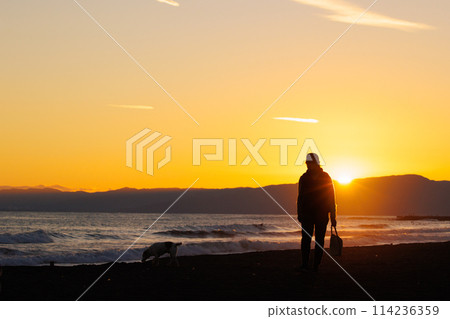 A person walking a dog as the sun sets 114236359