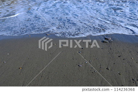 At the beach, where the land meets the sea At the beach, where the land meets the sea 114236368