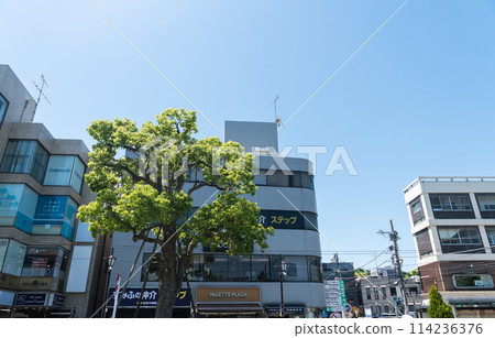 Kamakura Station, West Exit, Spring Clear Blue Sky, Kamakura City, Kanagawa Prefecture 114236376
