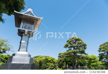 神奈川縣鎌倉市鶴岡八幡宮入口漫步,春日晴空 神奈川縣鎌倉市鶴岡八幡宮入口漫步,春日晴空 114236386