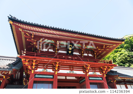 鶴岡八幡宮,雄偉的建築,晴朗的春日,神奈川縣鎌倉市 鶴岡八幡宮,雄偉的建築,晴朗的春日,神奈川縣鎌倉市 114236394