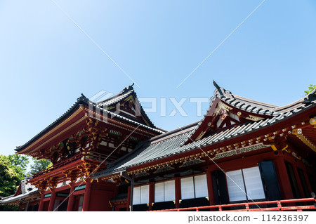 Tsurugaoka Hachimangu Shrine: A stroll around the majestic buildings, clear spring skies, Kamakura, Kanagawa Prefecture 114236397