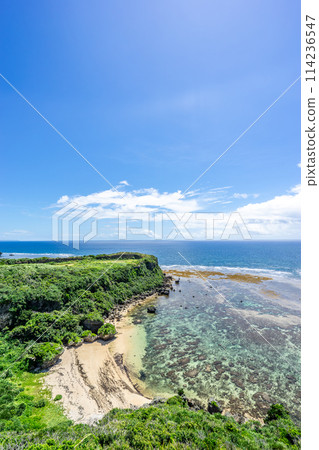 [Okinawa Prefecture] Tropical sea in midsummer 114236547