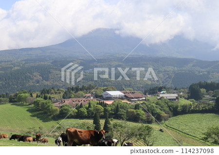 黃金週/高千穗農場/宮崎 黃金週/高千穗農場/宮崎 114237098