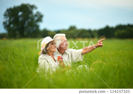 Portrait of senior couple in summer field 114237103