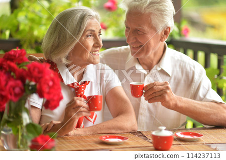 Portrait of senior couple drinking coffee at home 114237113
