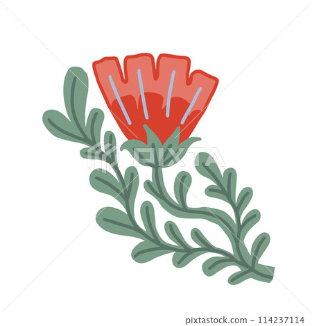 Colorful floral doodle illustration in a trendy style 114237114