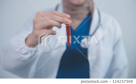 Technician, doctor, scientist in laboratory with blood sample tubes and rack In the laboratory holding a blood vessel sample for study, experiment, medical research biotechnology DNA testing. 114237309