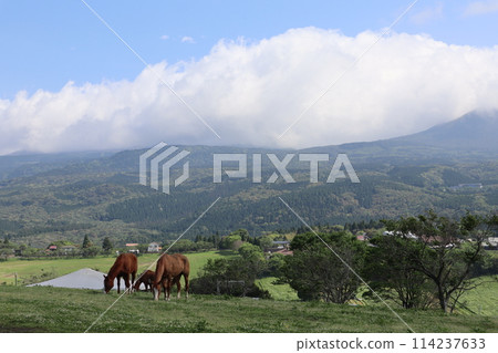 Golden Week/Takachiho Ranch/Miyazaki Golden Week/Takachiho Ranch/Miyazaki 114237633