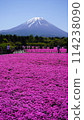 Fuji Shiba cherry-blossom Festival 114238090