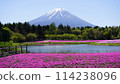 Fuji Shiba cherry-blossom Festival 114238096