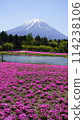 Fuji Shiba cherry-blossom Festival 114238106