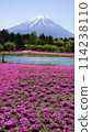 Fuji Shiba cherry-blossom Festival 114238110