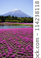 Fuji Shiba cherry-blossom Festival 114238118