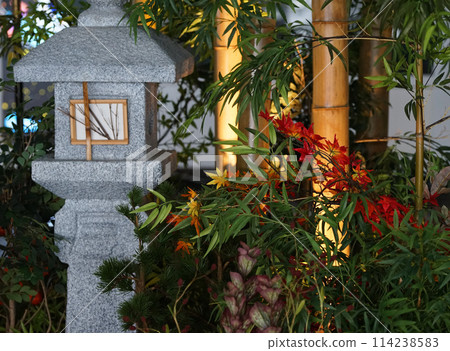 Lanterns and bamboo in the garden at night Lanterns and bamboo in the garden at night 114238583