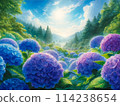 Hydrangea blooming on the mountain slope 114238654