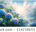 Hydrangea illuminated by light 114238655