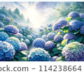 Landscape with hydrangeas 114238664