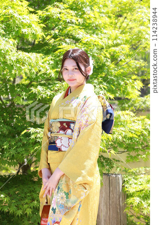 Adult woman wearing a yellow patterned furisode, Japanese clothing location photoshoot, Coming of Age Ceremony 114238944