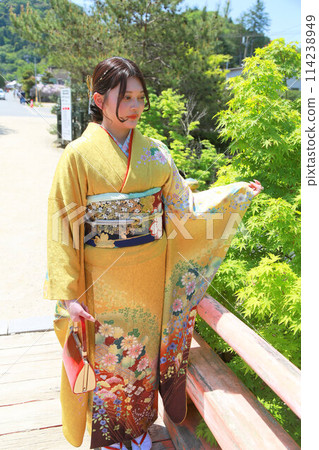 Adult woman wearing a yellow patterned furisode, Japanese clothing location photoshoot, Coming of Age Ceremony Adult woman wearing a yellow patterned furisode, Japanese clothing location photoshoot, Coming of Age Ceremony 114238949