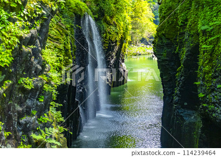 高千穗科索峽谷新宮崎縣 114239464