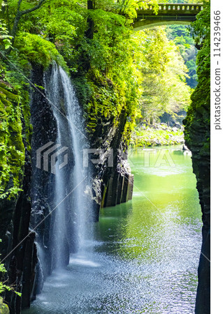 高千穗科索峽谷新宮崎縣 114239466