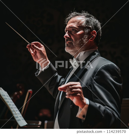 conductor with baton on stage conductor with baton on stage 114239570