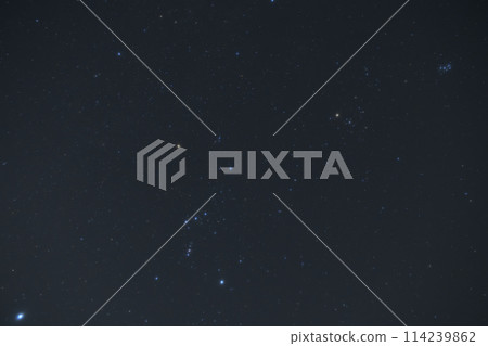 Winter constellations, winter stars. Orion 114239862