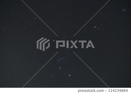 冬天的星座，冬天的星星。獵戶座 114239864