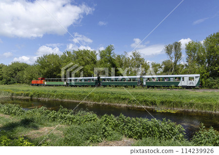 Narrow gauge railway from Balatonfenyves to Csisztafurdo near Balaton, Somogy region, Hungary 114239926