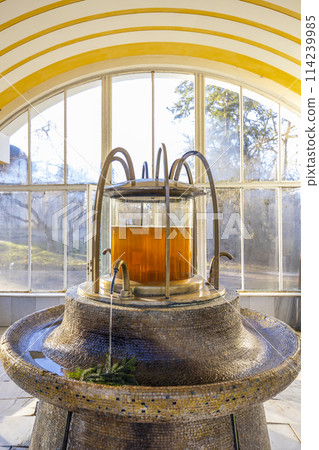 New spring in Frantiskovy lazne spa, UNESCO World Heritage Site, Western Bohemia, Czech Republic 114239985